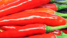 网站攻击软件工具