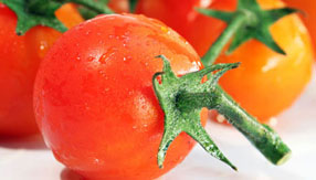 DDOS在线压力测试